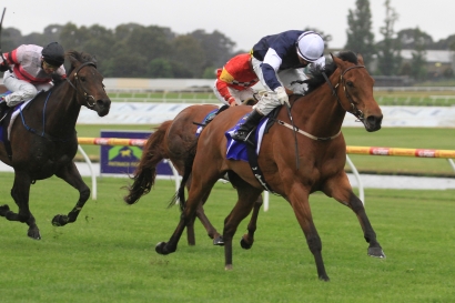 2012 Melbourne Select Racehorse Sale