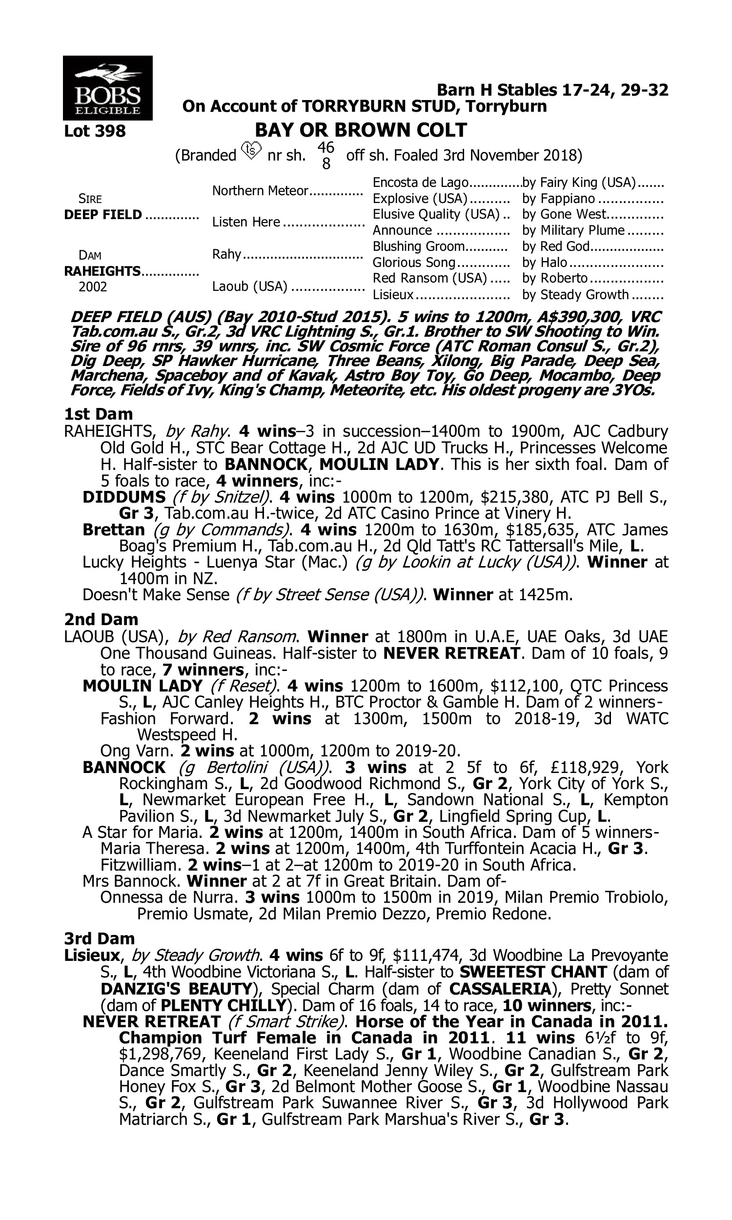 Pedigree for Lot 398 Deep Field - Raheights