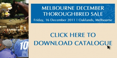 December Thoroughbred Sale
