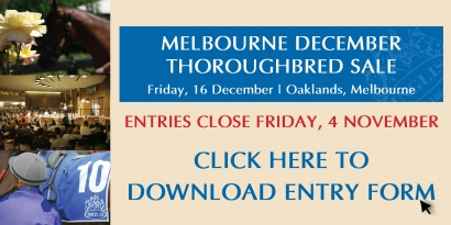 2011 Inglis Melbourne December Thoroughbred Sale