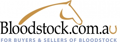 Ellerton Zahra crack the 2000 for Bloodstock.com.au