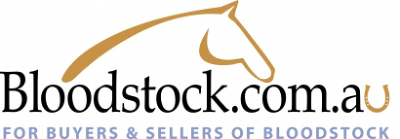 Ellerton Zahra crack the 2000 for Bloodstock.com.au