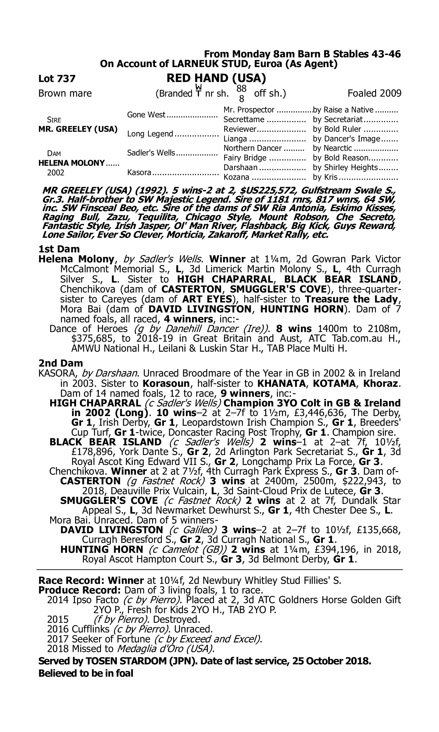 Pedigree for Lot 737 Mr. Greeley (USA) - Helena Molony (IRE)