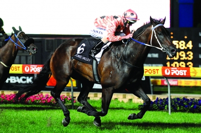 Black Caviar crowned Australian Racehorse of the Year