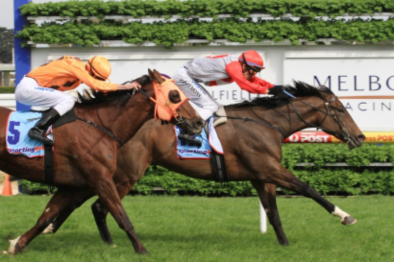 Saints Marches In At Caulfield