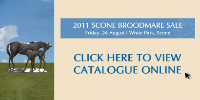 2011 Scone Broodmare Sale