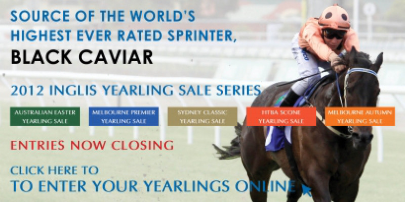 2012 Inglis Yearling Sale Series - Entries Now Closing