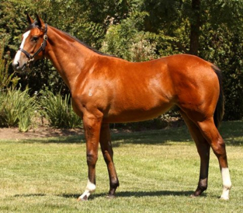 New Group Winner For Not A Single Doubt