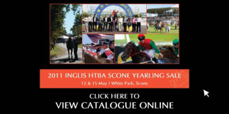 2011 Inglis HTBA Scone Yearling Sale