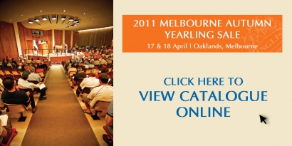 Melbourne Autumn Yearling Sale