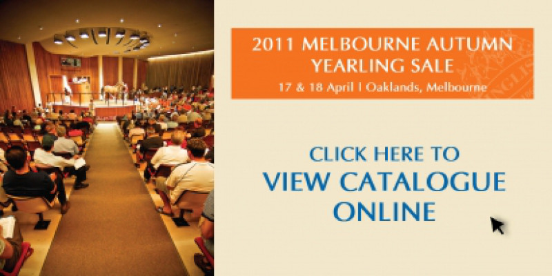 Melbourne Autumn Yearling Sale
