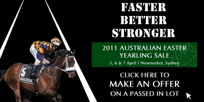 2011 Australian Easter Yearling Sale - Make an Offer