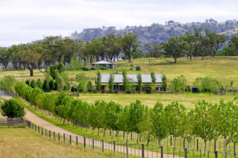 Inglis Auctions Trevannah on 7 April