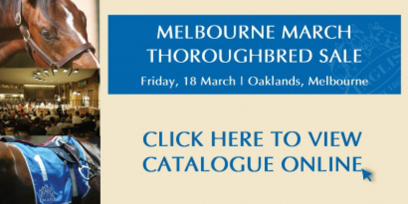 2011 Melbourne March Thoroughbred Sale