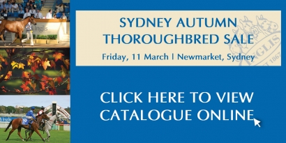 Sydney Autumn Thoroughbred Sale