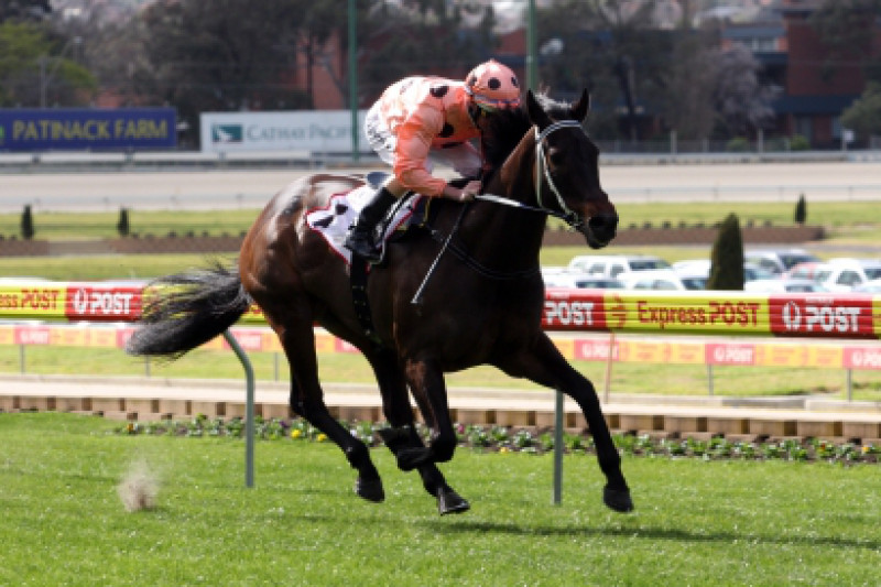 Premier Parading Schedule