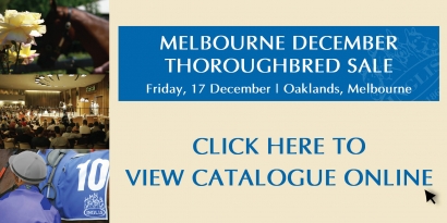 Inglis Melbourne December Thoroughbred Sale