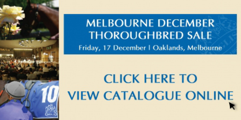 Inglis Melbourne December Thoroughbred Sale