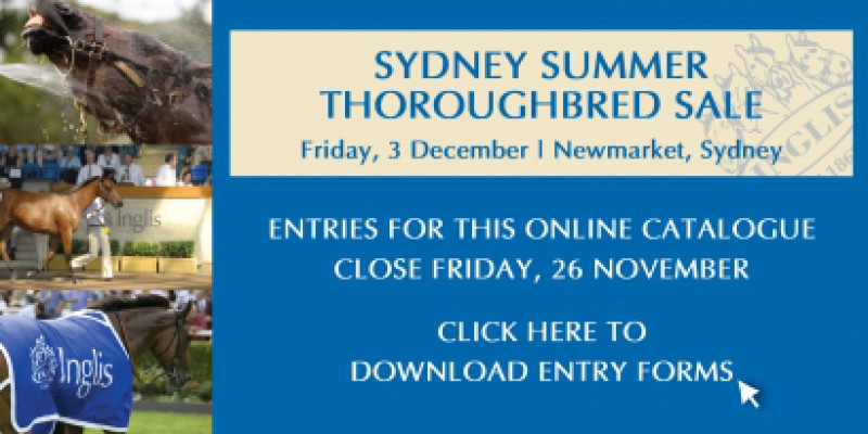 Inglis Sydney Summer Thoroughbred Sale