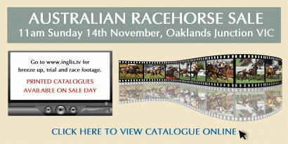 2010 Australian Racehorse Sale
