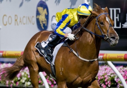 Starspangledbanner Retired to Stud