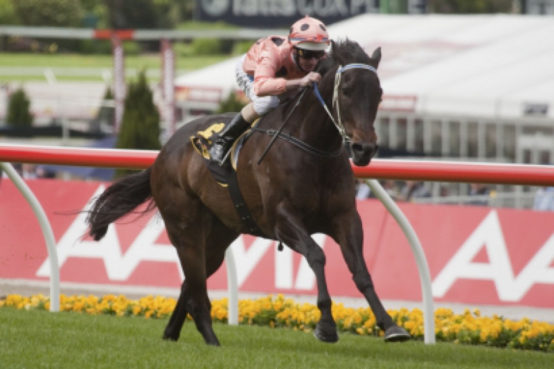 Half Brother To Black Caviar In Easter Sale