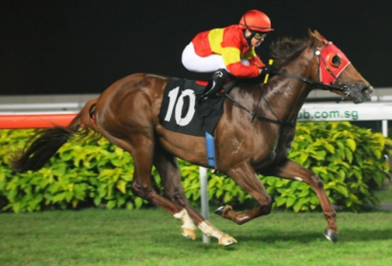 Listen Up Draws Attention To Australian Racehorse Sale