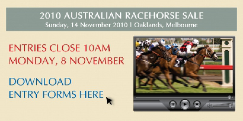 2010 Australian Racehorse Sale