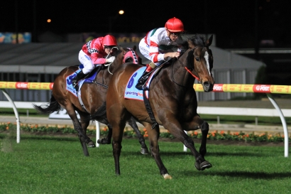 Hay List team confirm Royal Ascot hopes