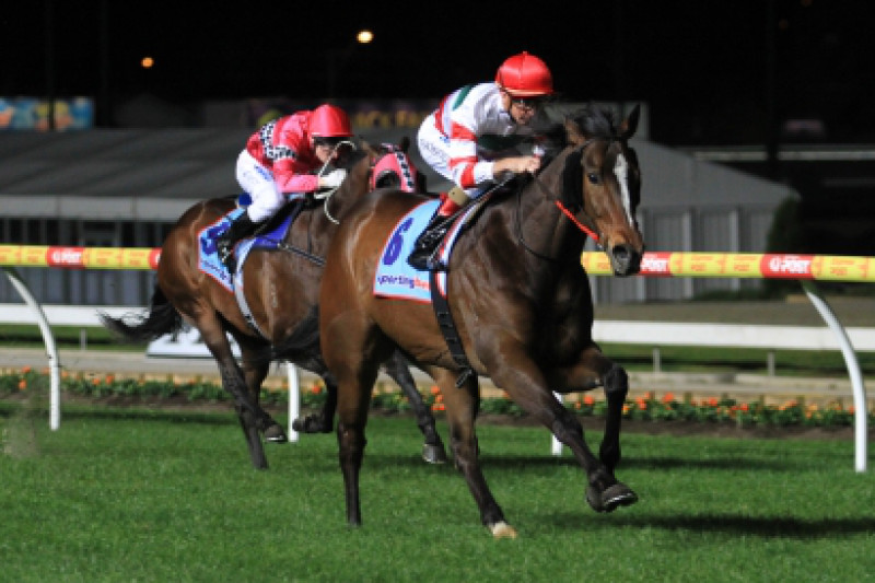 Hay List team confirm Royal Ascot hopes