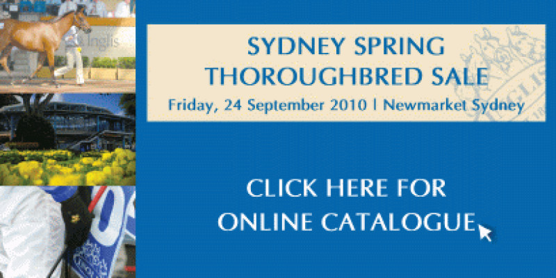 Sydney Spring Thoroughbred Sale