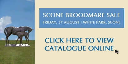 2010 Inglis Scone Broodmare Sale