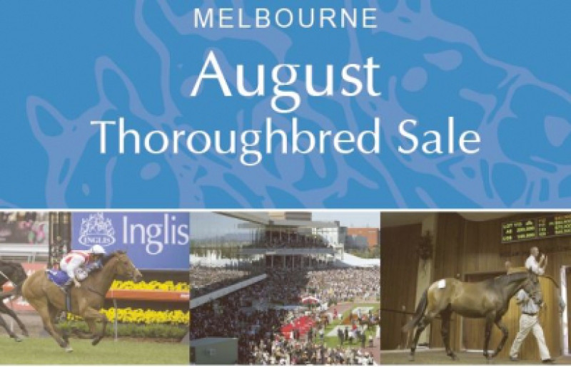 Inglis August Thoroughbred Catalogue now online