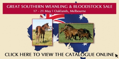 2010 Great Southern Weanling