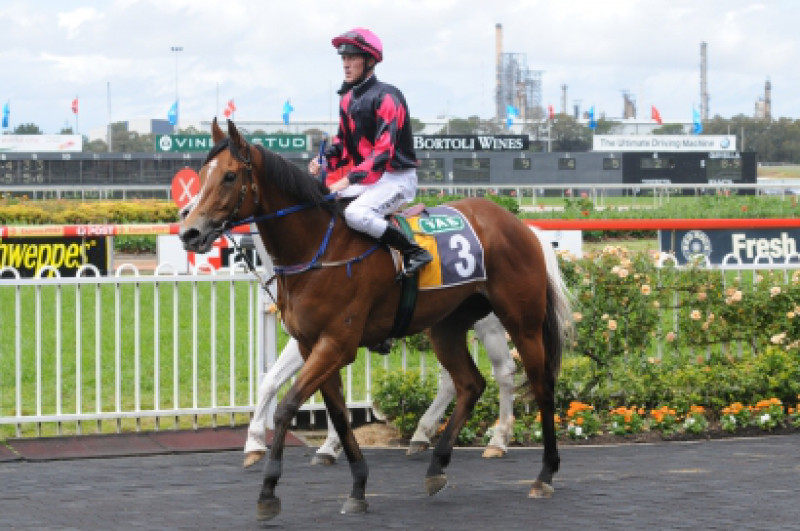 Neeson trounces rivals in Hawkesbury Guineas