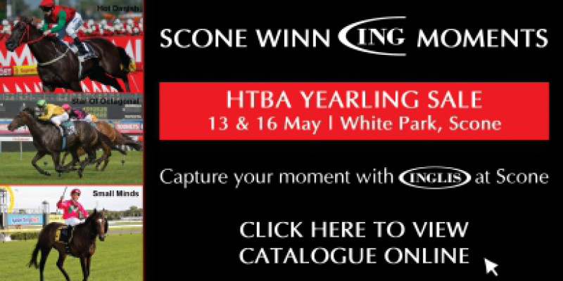 HTBA Scone Yearling Sale