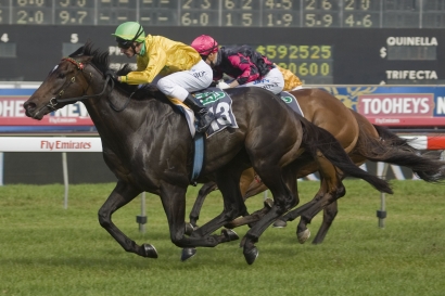 Occy’s Star Shines For Scone