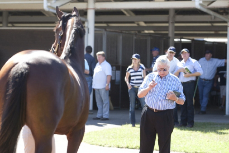 Want to race a horse with Bart? - Get to Randwick 