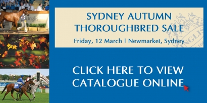2010 Sydney Autumn Thoroughbred Sale
