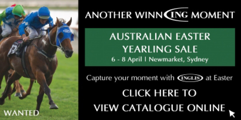 2010 Australian Easter Yearling Sale