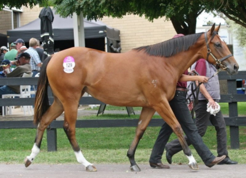 Increases Across the board in Melbourne