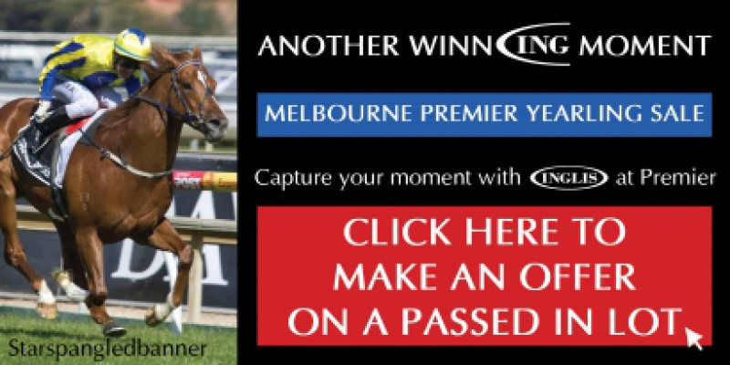 Melbourne Premier Yearling Sale - Make an offer