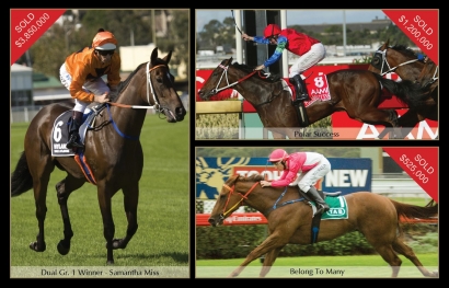 Easter Broodmare Entries Closing