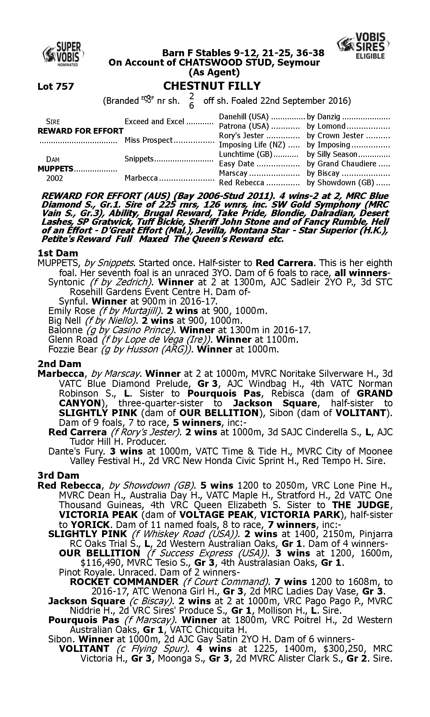 Pedigree for Lot 757 Reward for Effort - Muppets