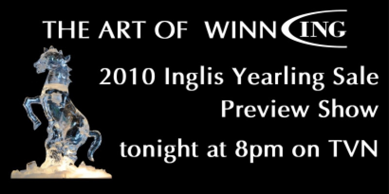 Inglis Yearling Sale Preview on TVN Tonight
