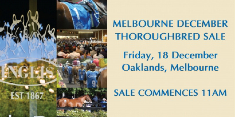 Inglis December Thoroughbred Sale