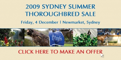 2009 Inglis Summer Thoroughbred Sale - Make an offer