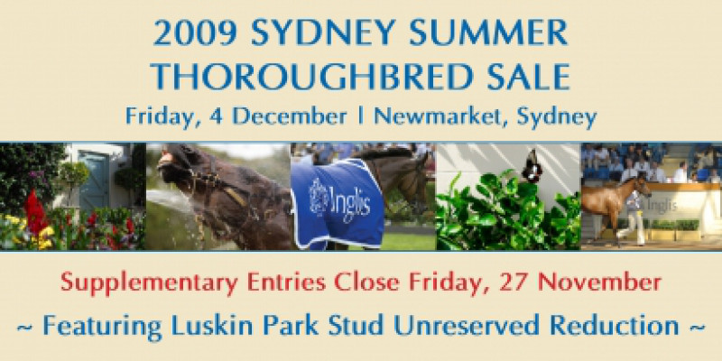 Inglis Summer Thoroughbred Sale
