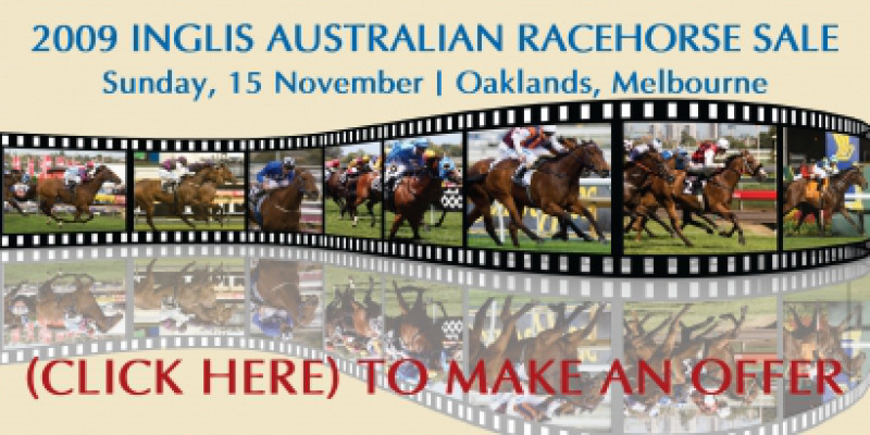 Inglis Australian Racehorse Sale - Make an Offer
