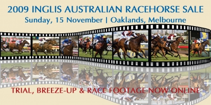 Inglis Australian Racehorse Sale Catalogue and Footage Online